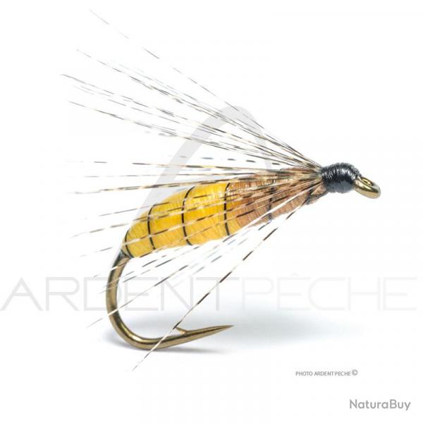 Mouche Florian Stphan Palaretta bicolore H10