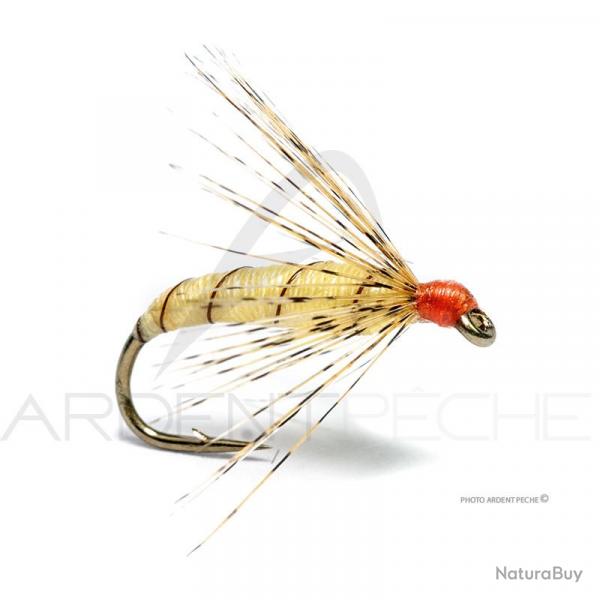 Mouche Florian Stphan Palaretta claire H12