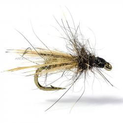 Mouche AB FLY Diptères MC13 H22