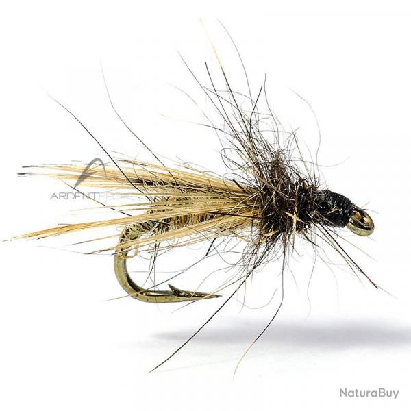 Mouche AB FLY Diptres MC13 H22
