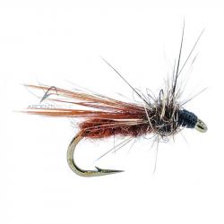Mouche AB FLY Diptères MC 15 H22