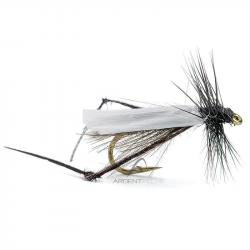 Mouche AB FLY Diptères bibio H12