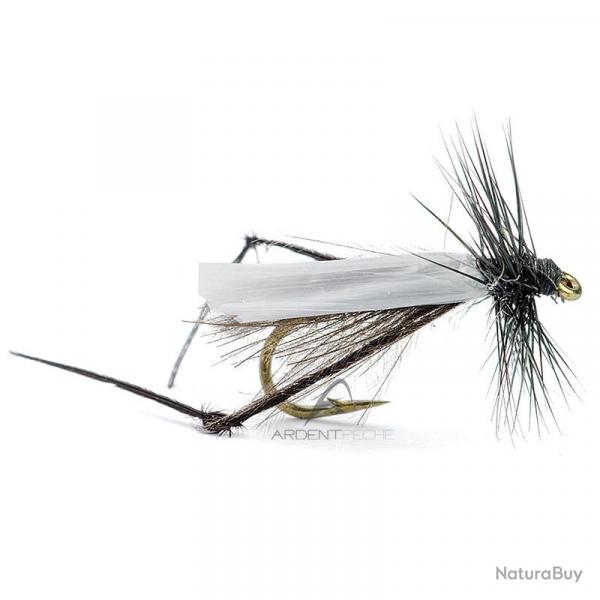 Mouche AB FLY Diptres bibio H12