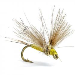 Mouche AB FLY Ephémères subimagos SUB J H20