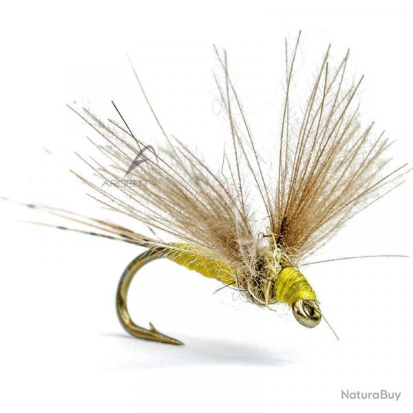 Mouche AB FLY Ephmres subimagos SUB J H22