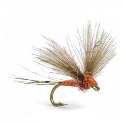 Mouche AB FLY Ephémères subimagos SUB RO H20
