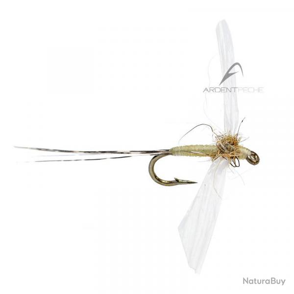 Mouche AB FLY Ephmres spents SBC LTC H20