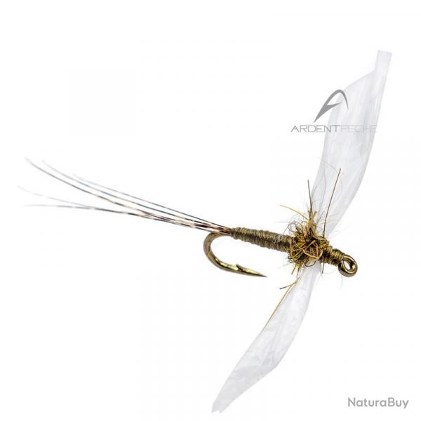 Mouche AB FLY Ephmres spents SBC OL H20