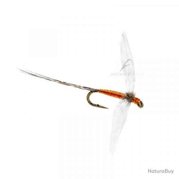 Mouche AB FLY Ephmres spents SBC OR H20
