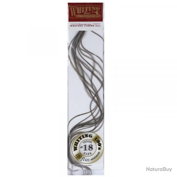 Plumes de Saddle WHITING 100 H18 gris fonc