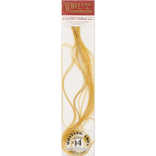 Plumes de Saddle WHITING 100 H14 teint mdium ginger