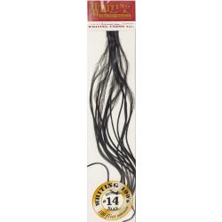 Plumes de Saddle WHITING 100 H14 teinté noir