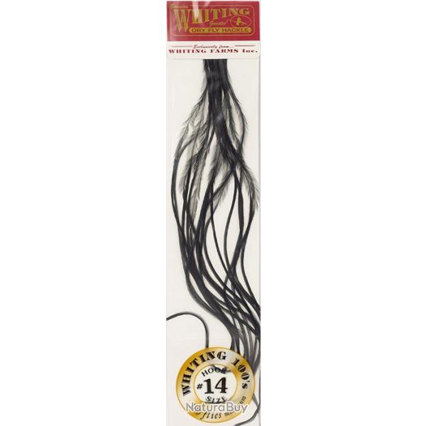 Plumes de Saddle WHITING 100 H14 teint noir