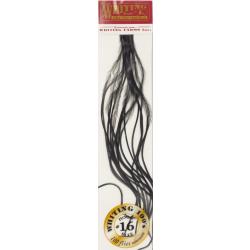 Plumes de Saddle WHITING 100 H16 teinté noir