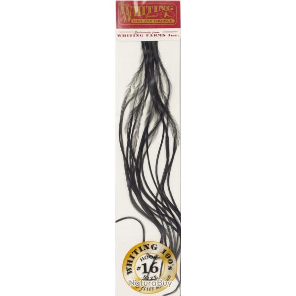 Plumes de Saddle WHITING 100 H16 teint noir