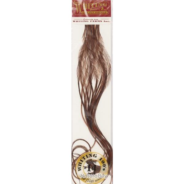 Plumes de Saddle WHITING 100 H14 teint coachman