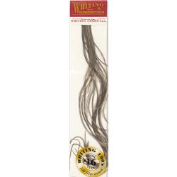 Plumes de Saddle WHITING 100 H16 teinté gris foncé
