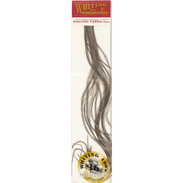 Plumes de Saddle WHITING 100 H16 teint gris fonc