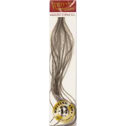 Plumes de Saddle WHITING 100 H14 teinté gris foncé