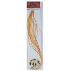 Plumes de Saddle WHITING 100 H18 teinté roux doré