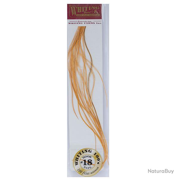 Plumes de Saddle WHITING 100 H18 teint roux dor