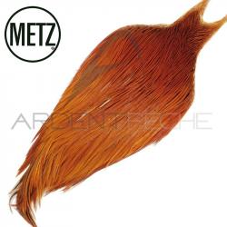 Cous de coq METZ grade 2 roux