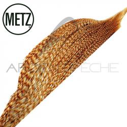 1/2 cous de coq METZ grade 2 chinchilla roux