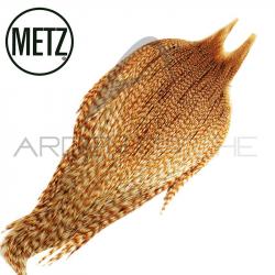 Cous de coq METZ grade 3 chinchilla roux
