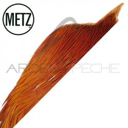 1/2 cous de coq METZ grade 3 roux