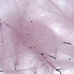 Cul de canard PETITJEAN 1gr n°2 mauve