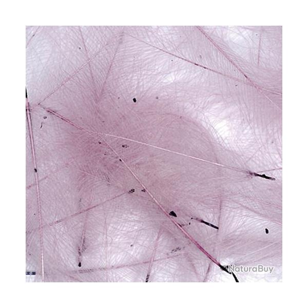 Cul de canard PETITJEAN 1gr n2 mauve
