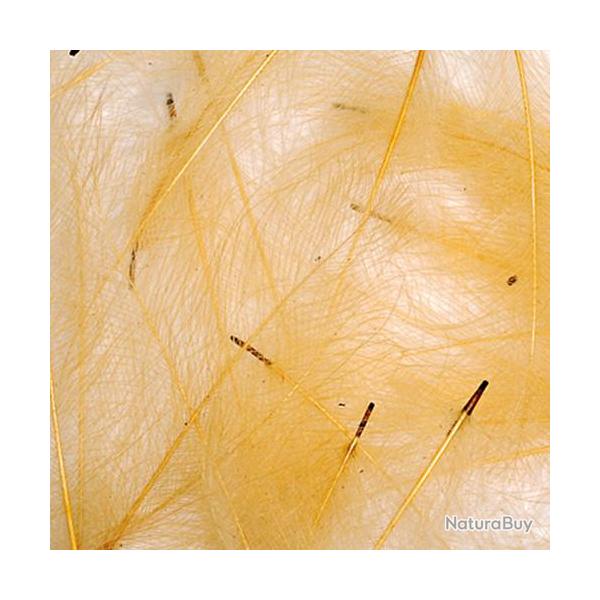 Cul de canard PETITJEAN 1gr n4 creme