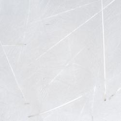 Cul de canard PETITJEAN 1gr n°5 blanc