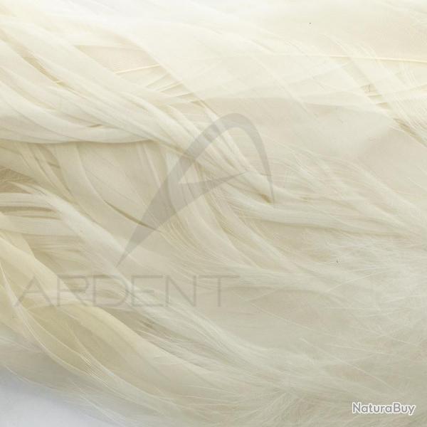 Schlappen blanc
