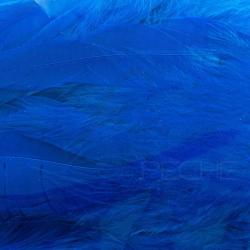 Schlappen bleu