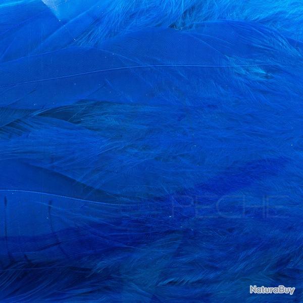 Schlappen bleu