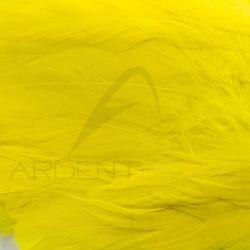 Schlappen jaune