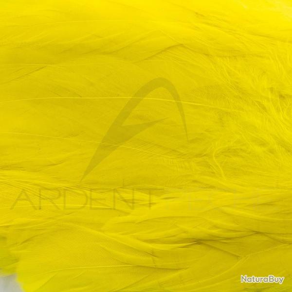 Schlappen jaune