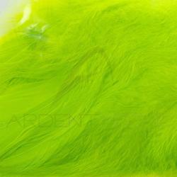 Schlappen vert