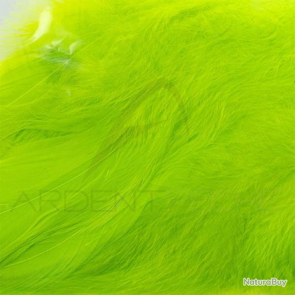 Schlappen vert