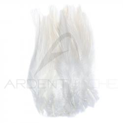 Grand hackle de coq blanc