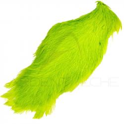 Cou de coq teinté ( rooster neck) fluo chartreuse
