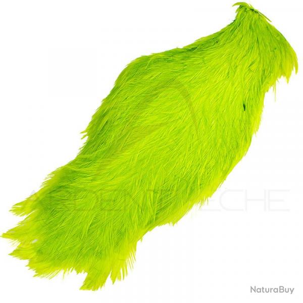 Cou de coq teint ( rooster neck) fluo chartreuse