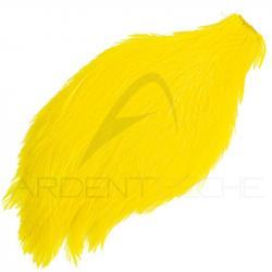 Cou de coq teinté ( rooster neck) jaune