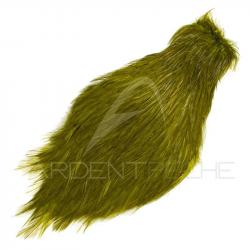Cou de coq teinté ( rooster neck) olive