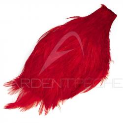 Cou de coq teinté ( rooster neck) rouge
