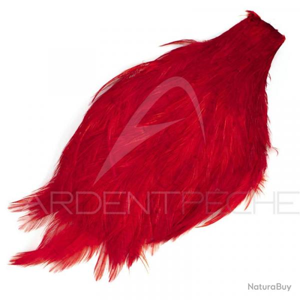 Cou de coq teint ( rooster neck) rouge