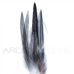 Coq de pêche corrézien plume de cou gris fumé H12-14
