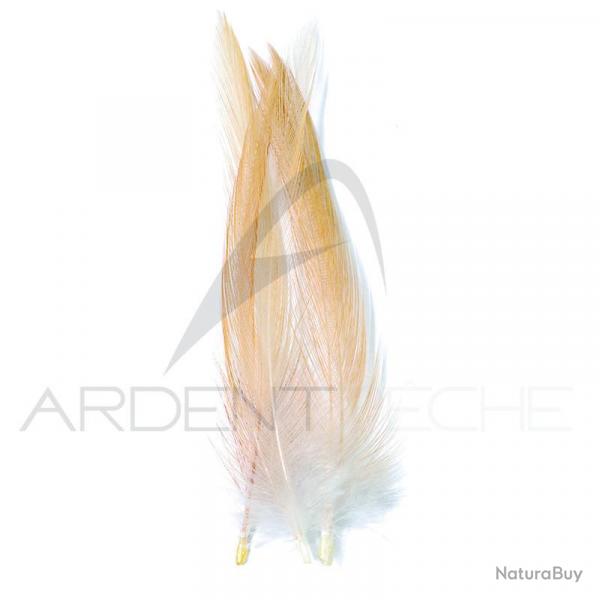Coq de pche corrzien plume de cou miel H18-16