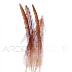 Coq de pêche corrézien plume de cou roux H12-14